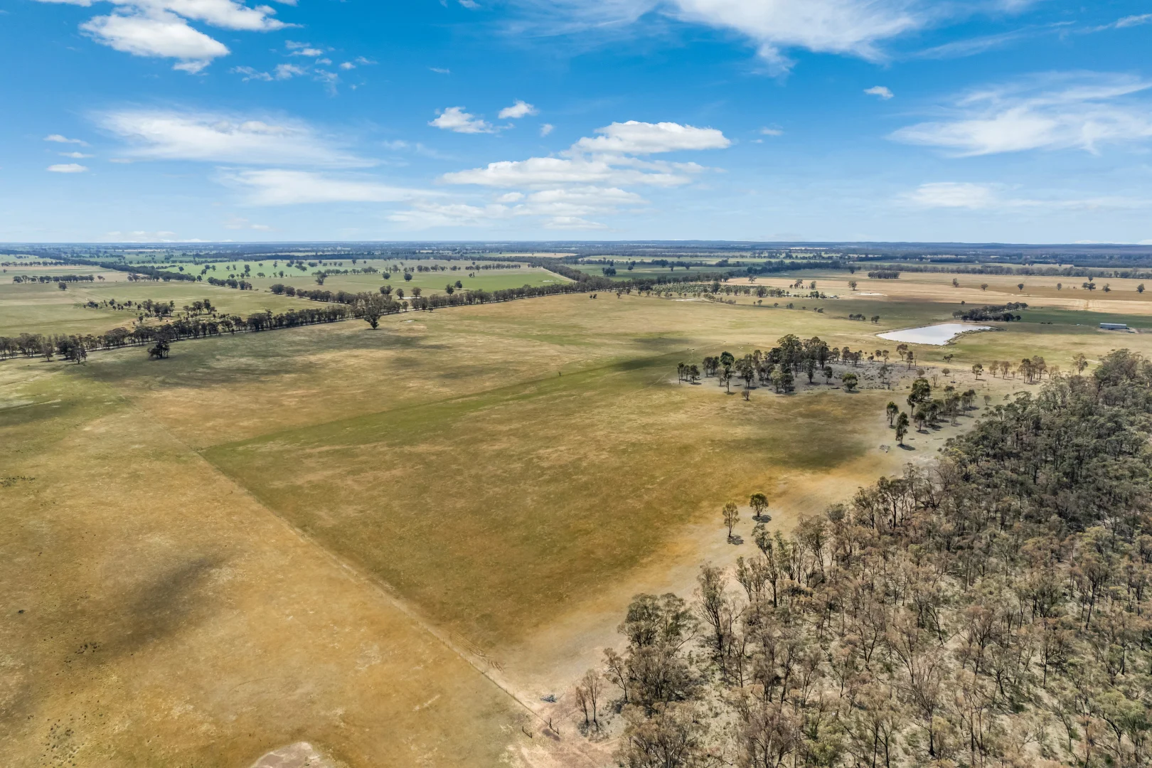 Additional image 6 of 850 Tait Hamilton Road, Gobarup VIC 3559