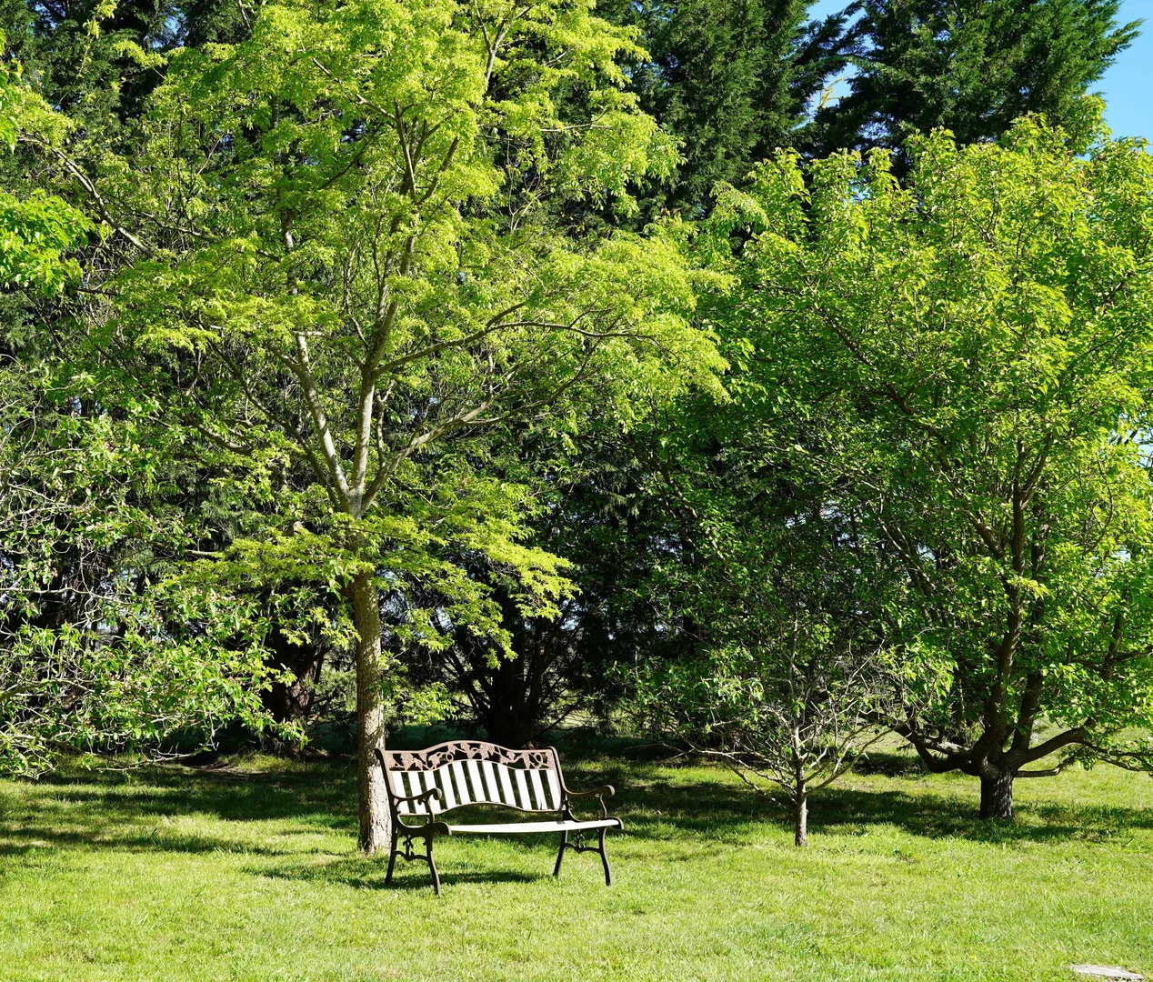 Additional image 33 of 536 Cooma Road, Braidwood NSW 2622