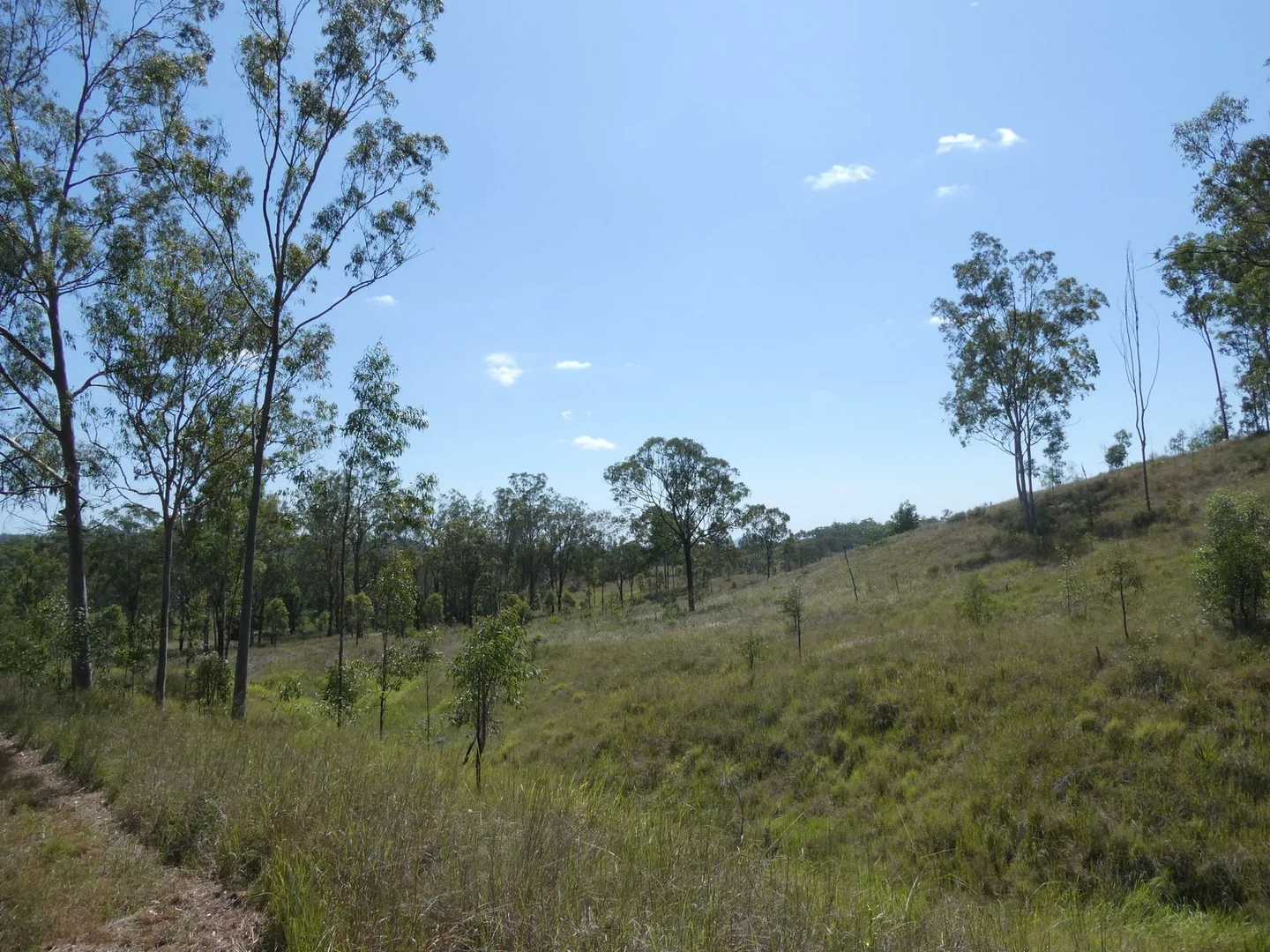 Additional image 17 of Lot 14 Monto Mount Perry Road, Mungy QLD 4671
