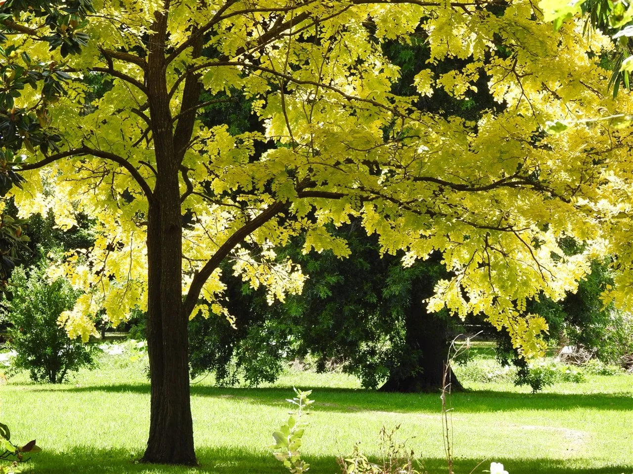 Additional image 25 of 6 Holme Street, Terara NSW 2540