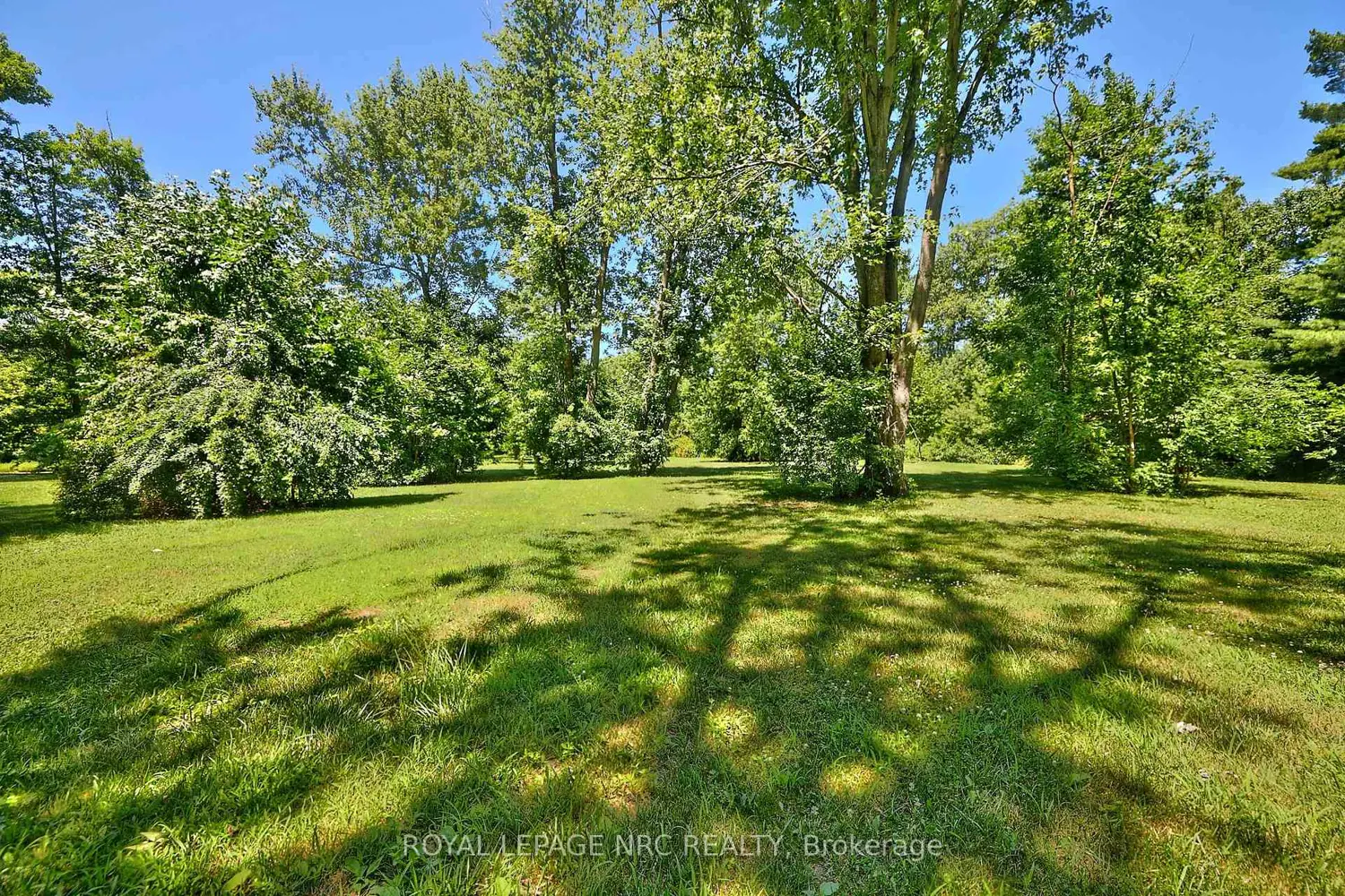 Additional image 13 of 1171 Mcnab Road