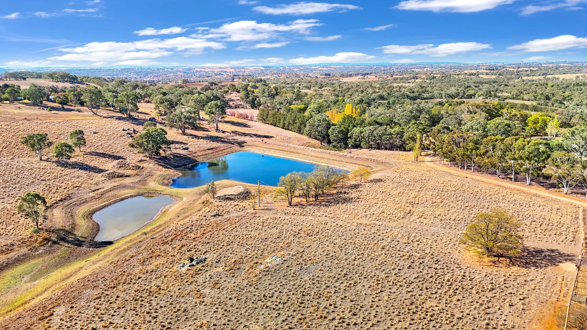 Additional image 20 of Young NSW 2594