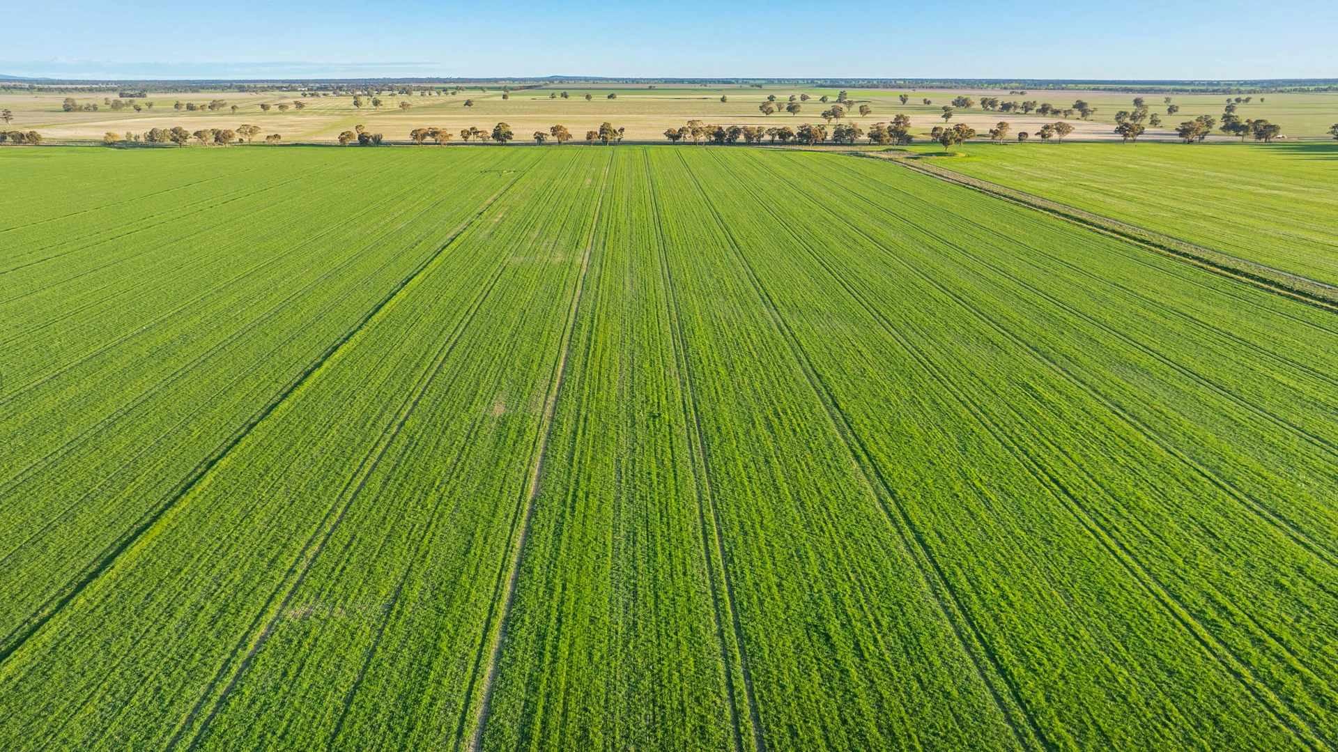 Additional image 23 of 1250 Barracluffs Road, Bidgeemia NSW 2642