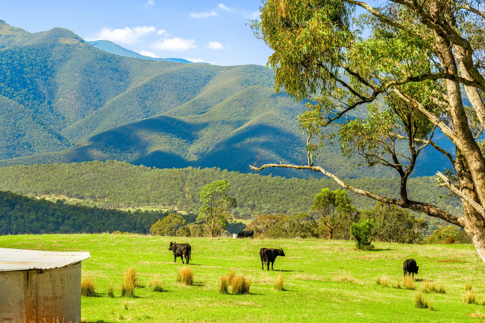 Additional image 14 of 1 Middle Ridge Road, Licola North VIC 3858