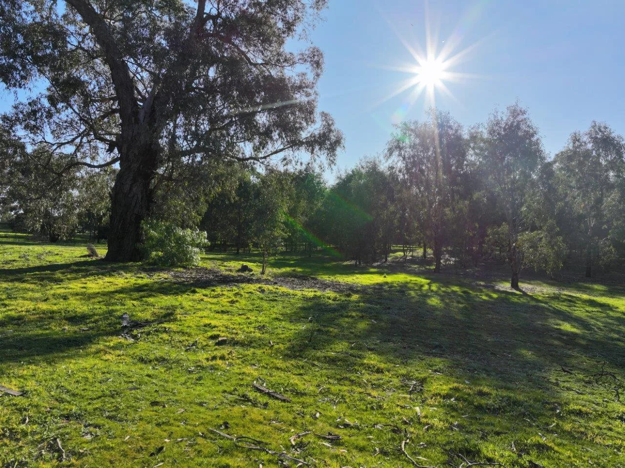 Additional image 13 of Langley Lane, McIntyre VIC 3472