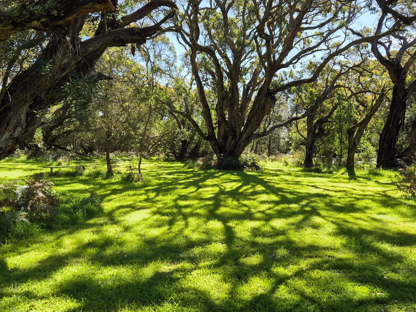 Additional image 19 of 417 McBurnie and Boags Road, Tarwin Lower VIC 3956