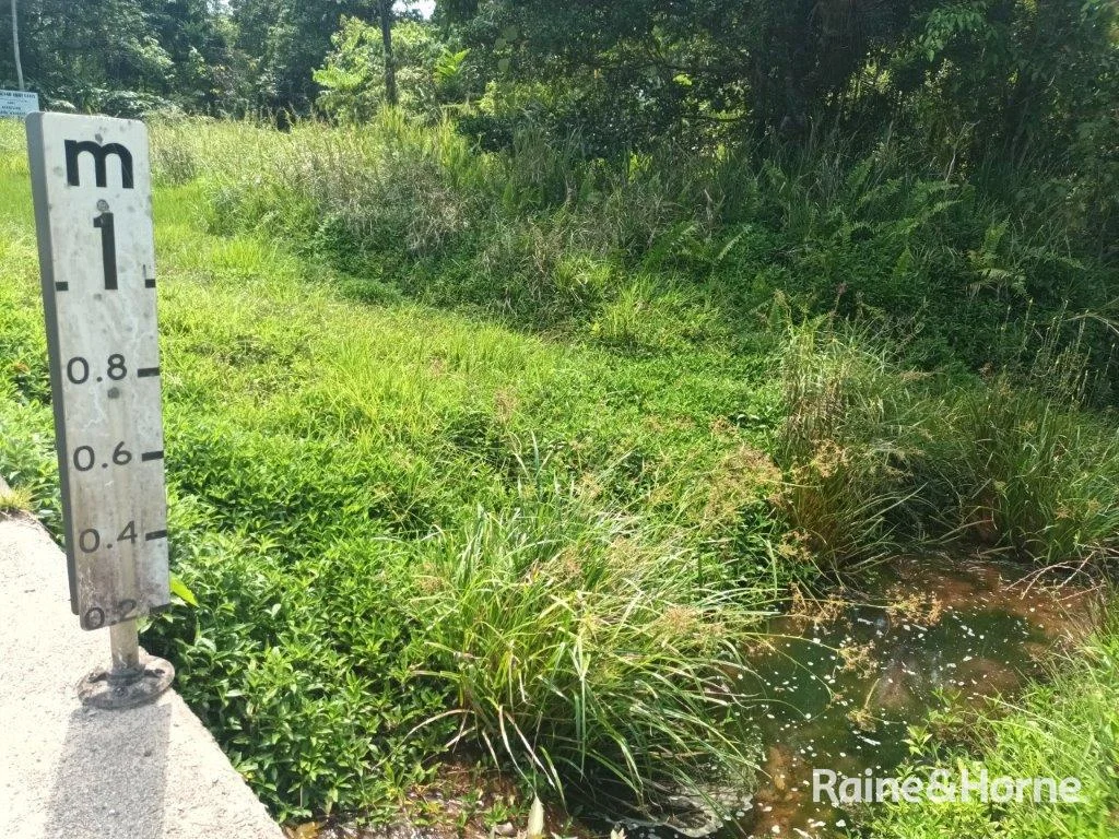 Additional image 13 of Lot 81 Cape Tribulation Road, DIWAN,, Daintree QLD 4873