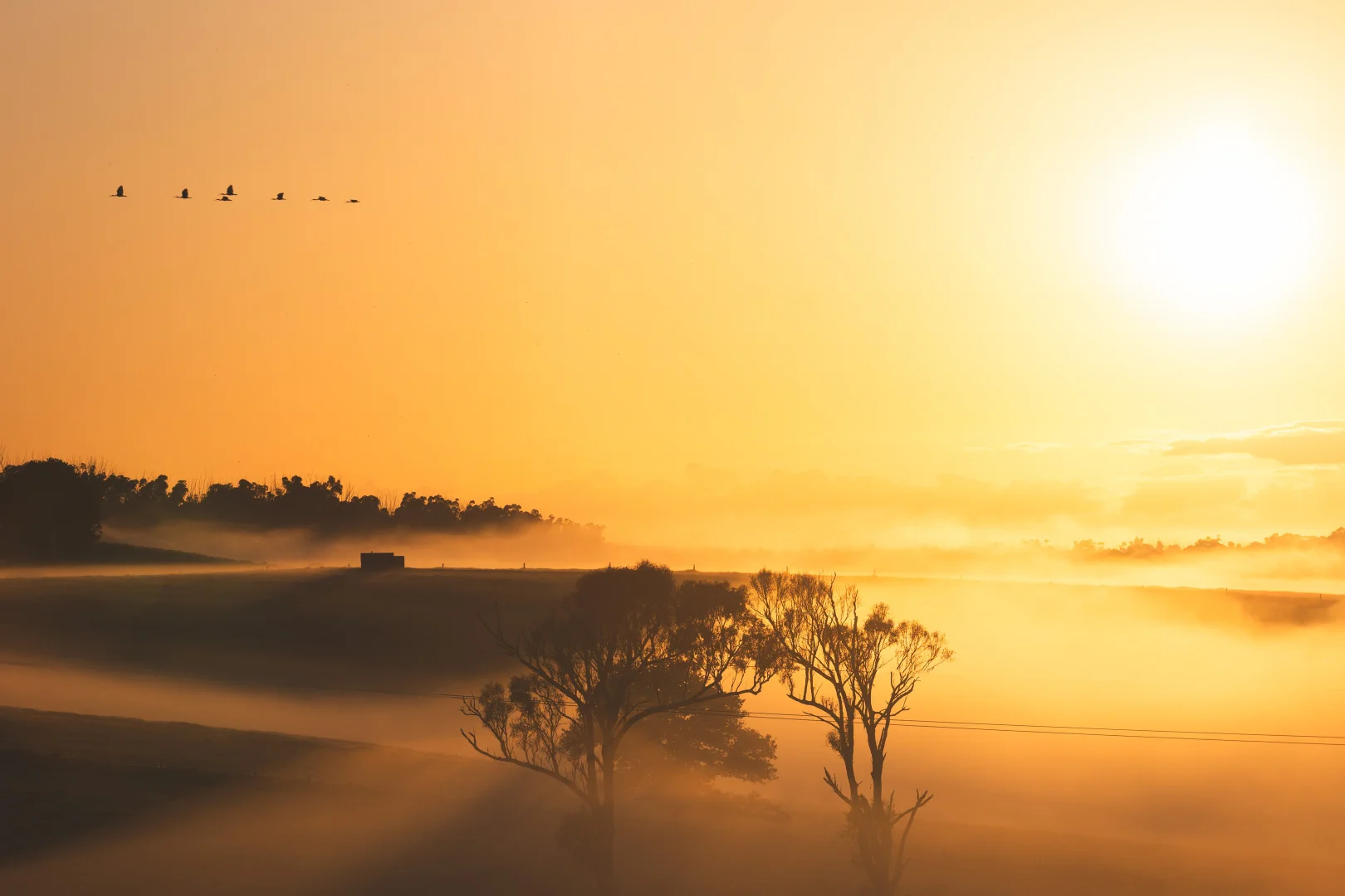 Additional image 3 of Lot 103, E299A Princes Highway (via Milton), Yatte Yattah NSW 2539