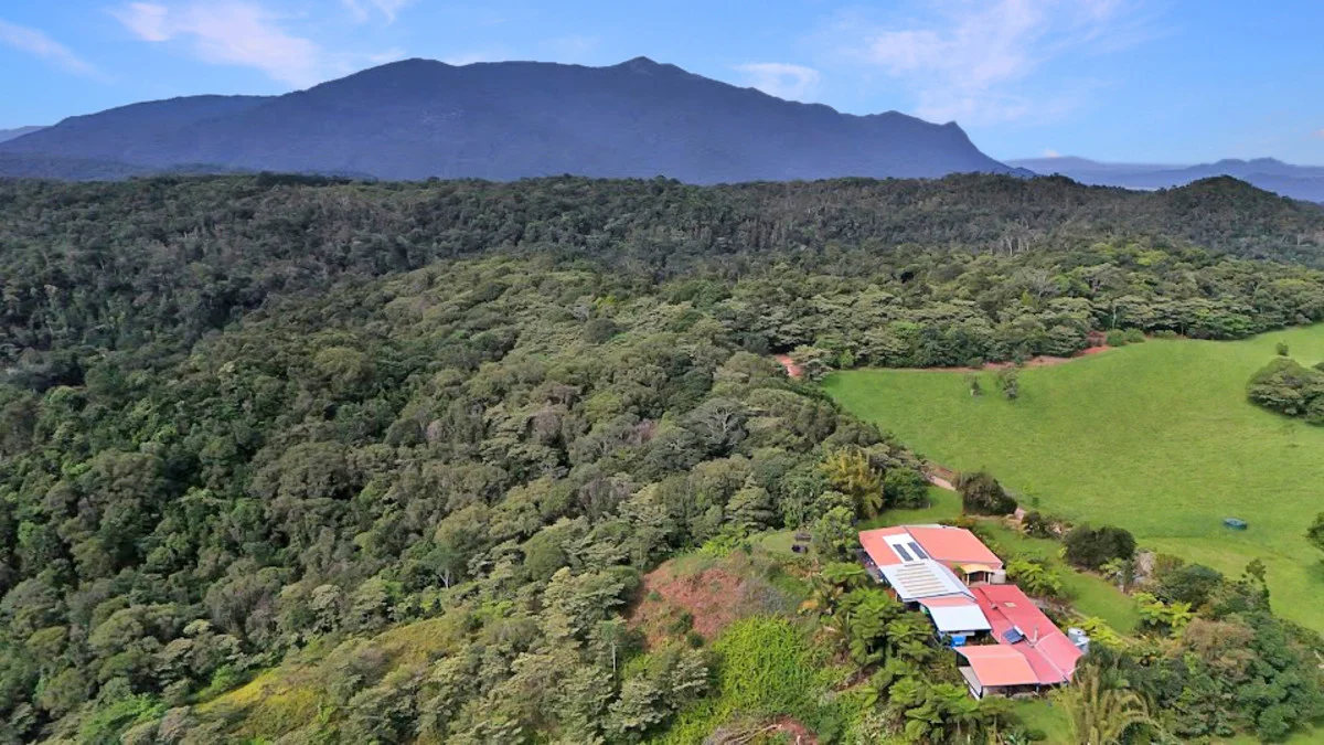 Additional image 8 of 69 Wairambar Creek Road, Topaz QLD 4885