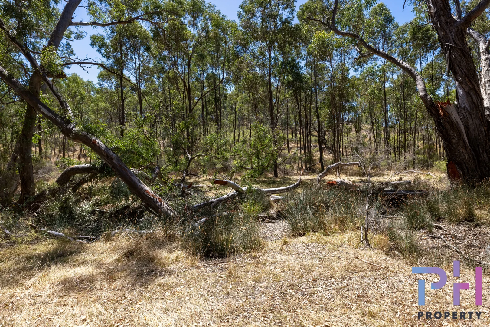 Additional image 3 of 6 Ansen Road, Eppalock VIC 3551