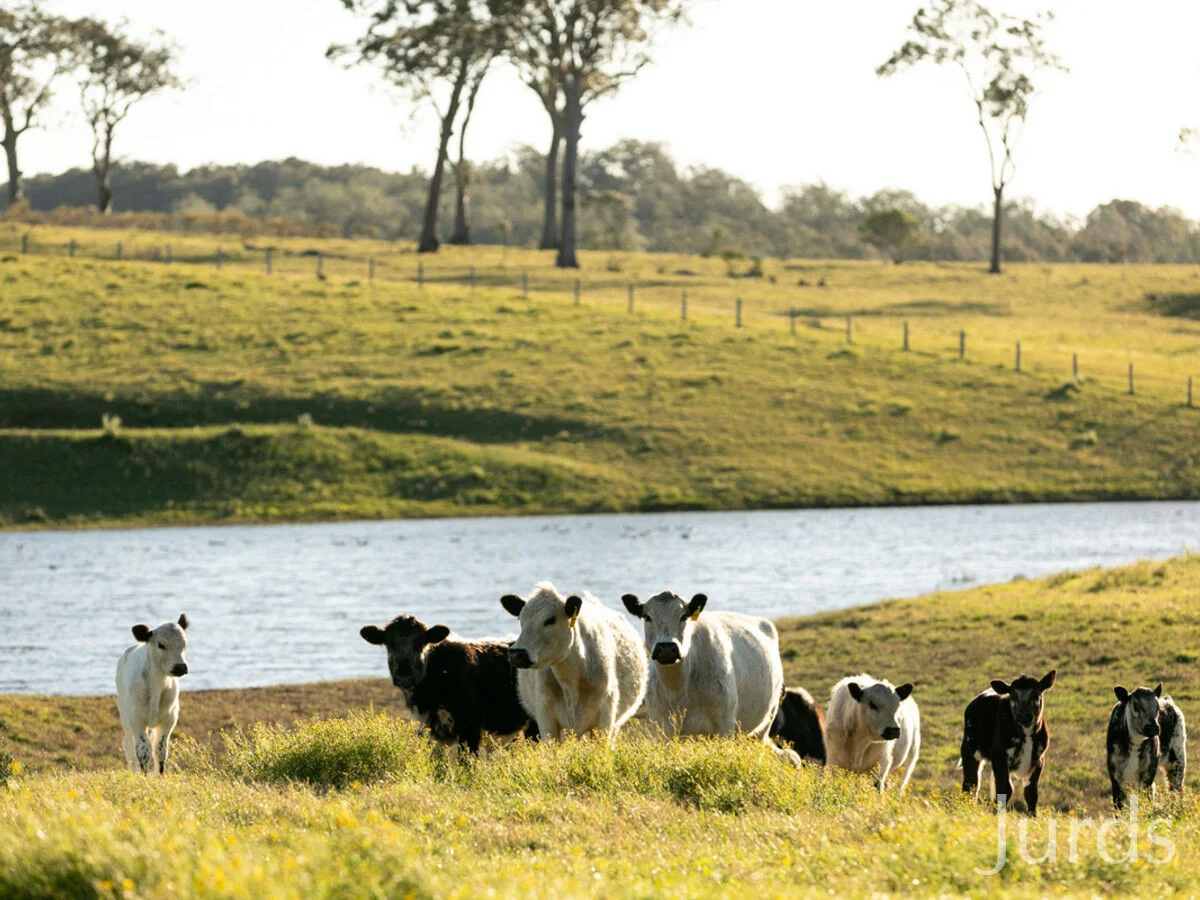 Additional image 32 of 42 Durham Street, Gosforth NSW 2320