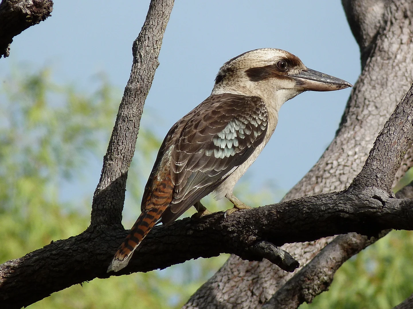 Additional image 25 of Notch Point Road, Ilbilbie QLD 4738