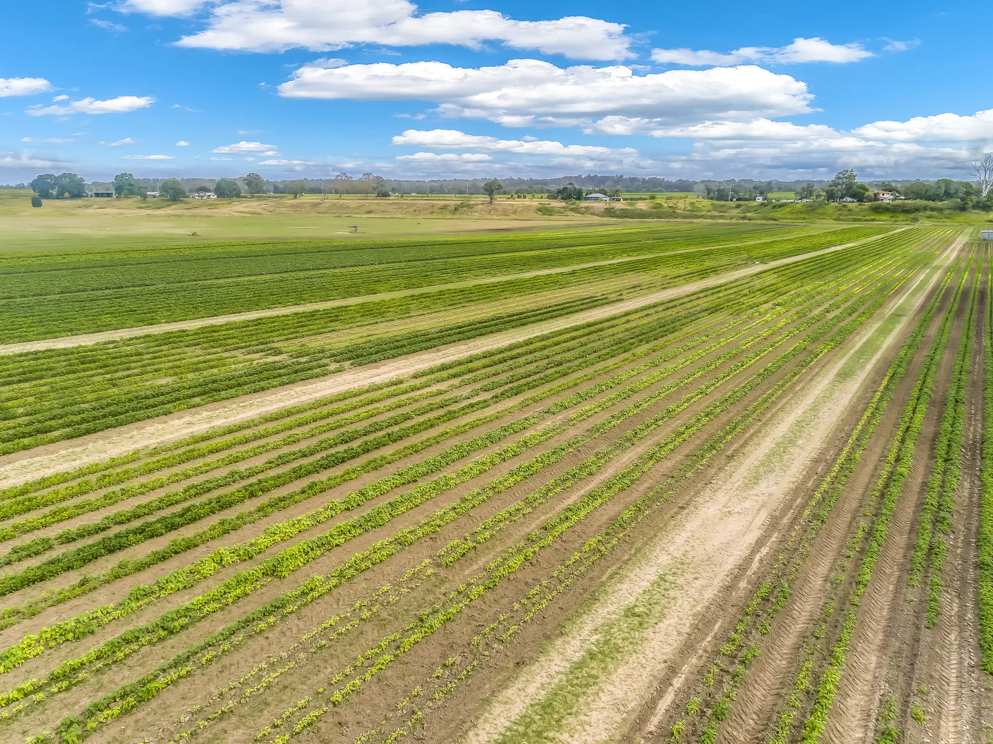 Additional image 6 of 1670 Rosedale Road, Avondale QLD 4670