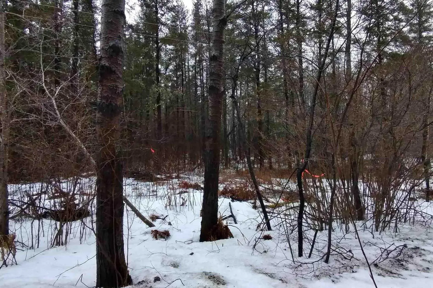 Additional image 3 of Part 12 Girl Guide Road