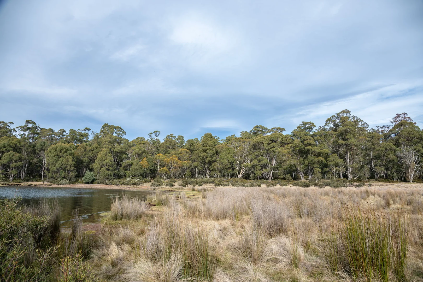 Additional image 13 of 1 & 2/172 Woodwards Bay Road, Bradys Lake TAS 7140