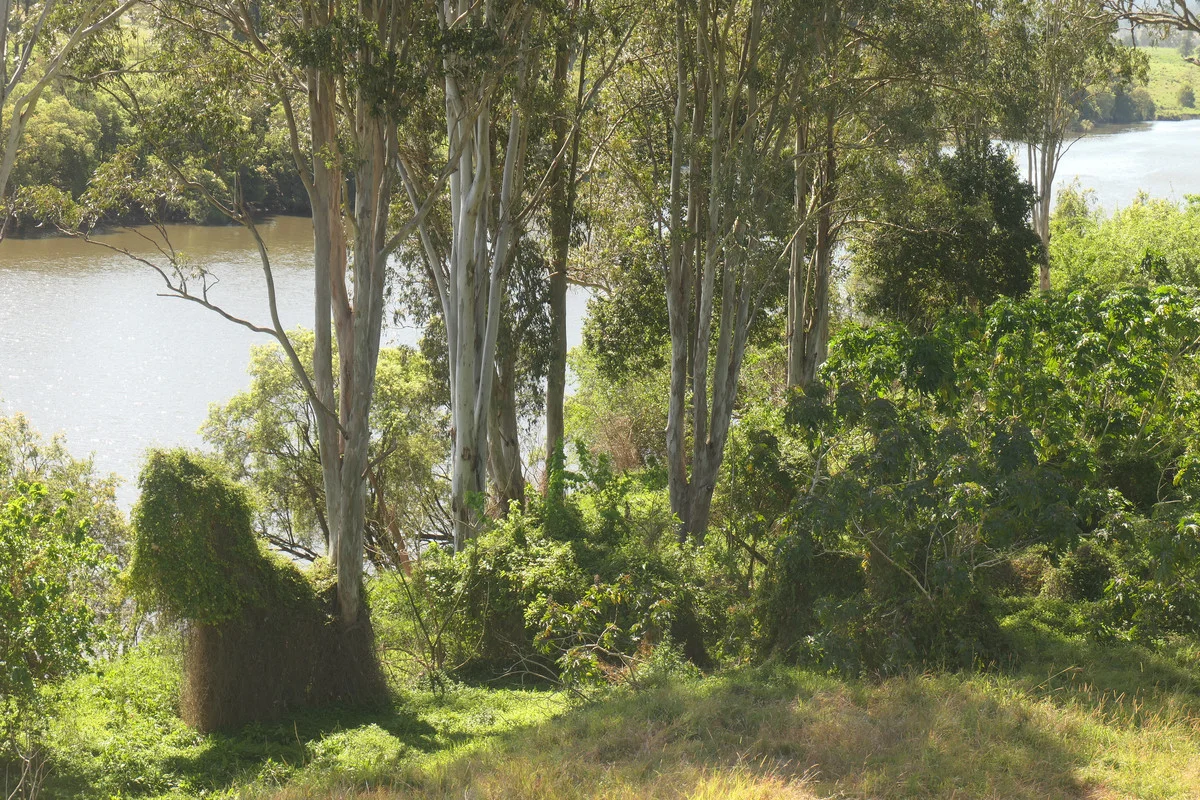 Additional image 34 of 1608 Tabulam Road, Tabulam NSW 2469