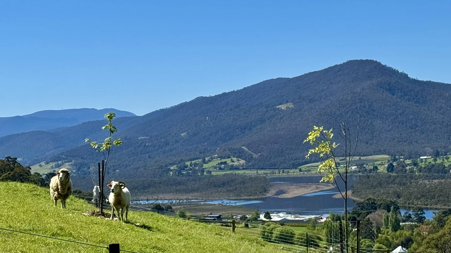 Additional image 31 of Lot 1 Walpole Lane, Franklin TAS 7113