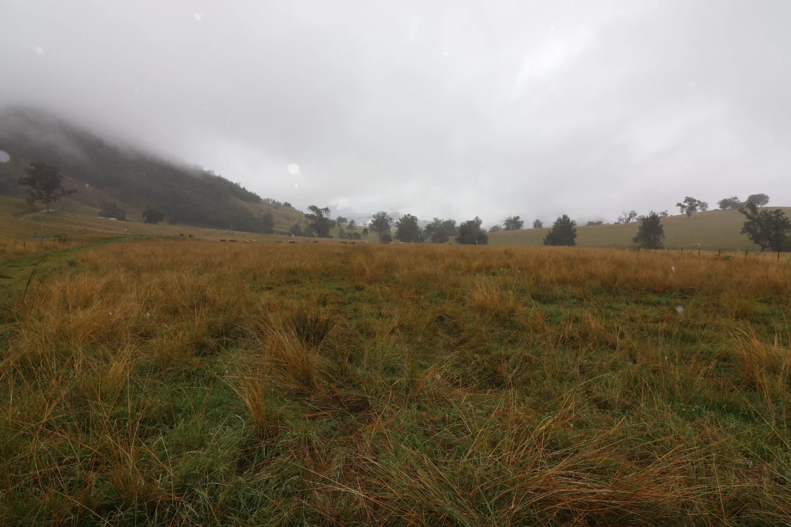 Additional image 27 of 95 Smiths Creek Road, Lower Creek NSW 2440