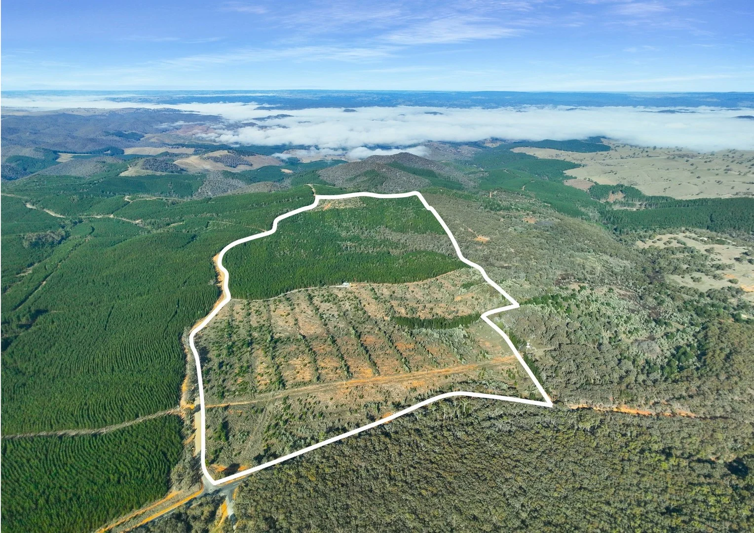 3653 Arkstone Road, Burraga NSW 2795