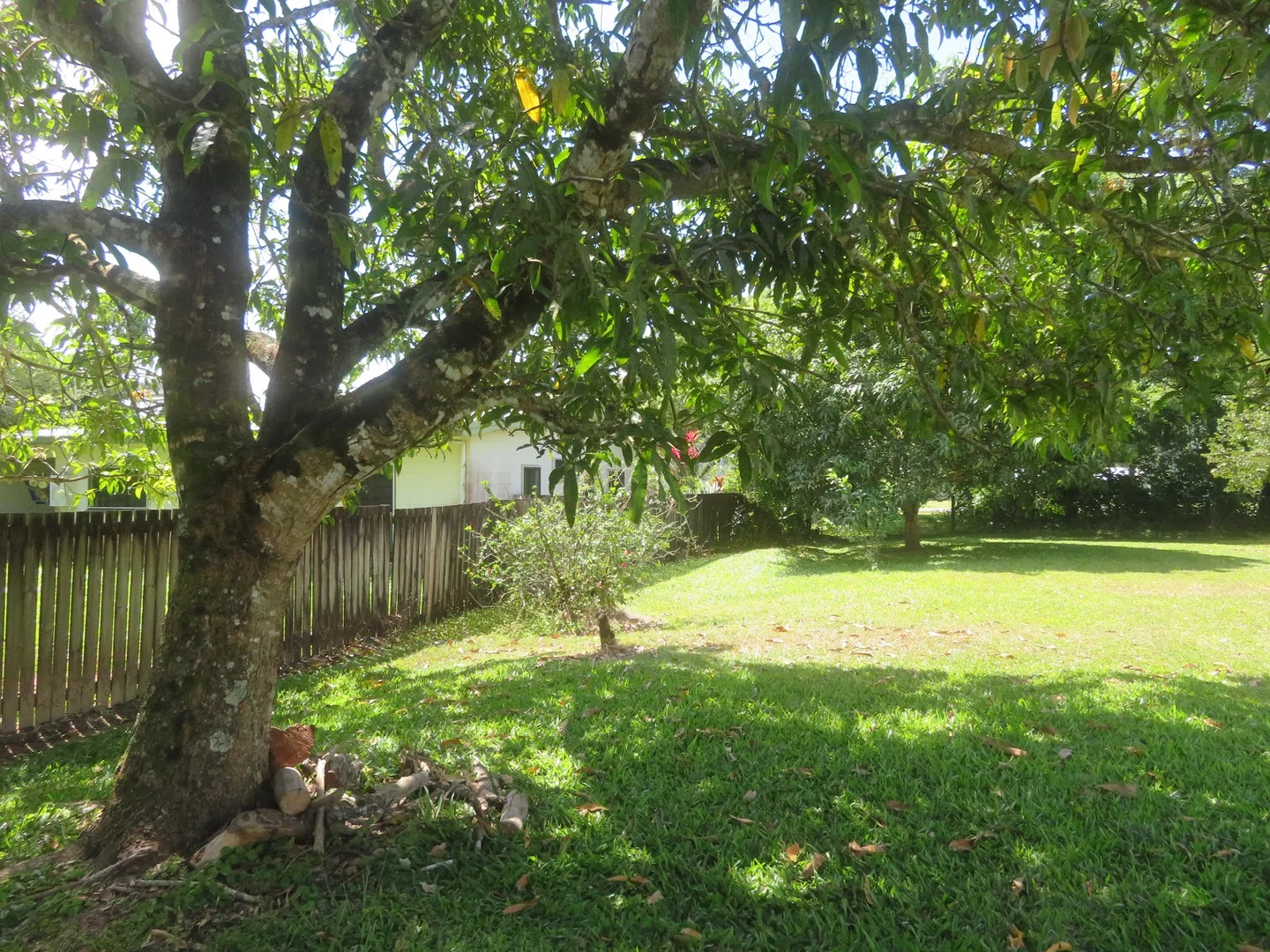 Additional image 13 of 18-20 Dagmar Street, Daintree QLD 4873