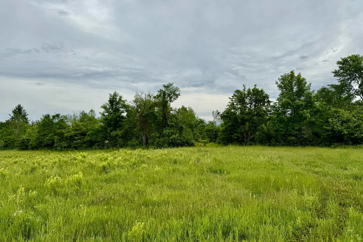 Additional image 3 of 00 Cooper Road