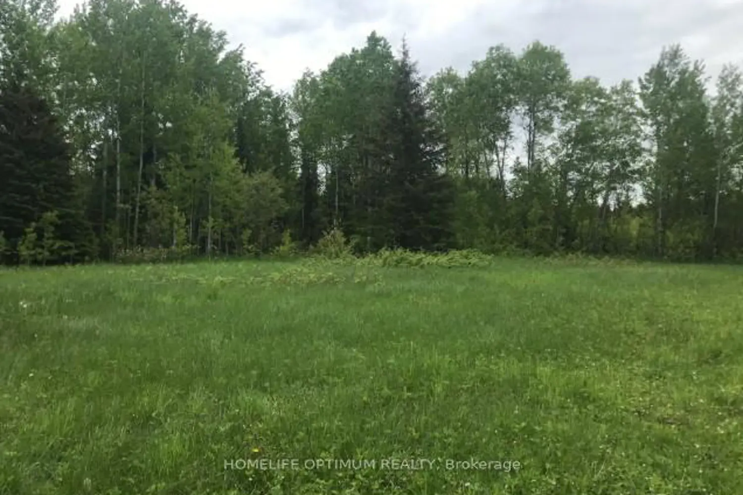 Additional image 6 of 75.25 Acres - Pcl 4952 N/A