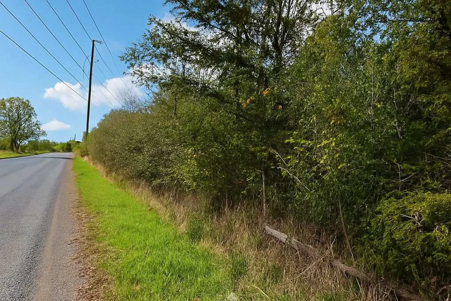 Additional image 8 of Lot 15 Martin Drive