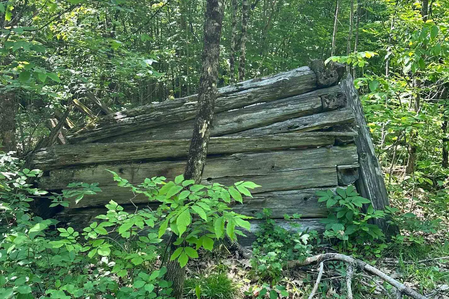 Additional image 12 of 1527 Madill Road