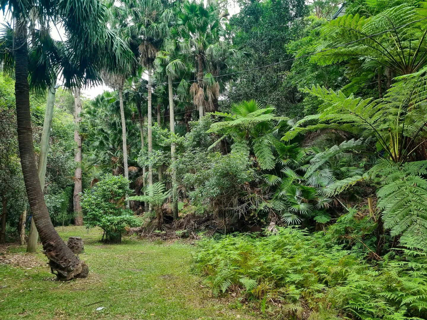 Additional image 3 of 48 Monash Avenue, Great Mackerel Beach NSW 2108