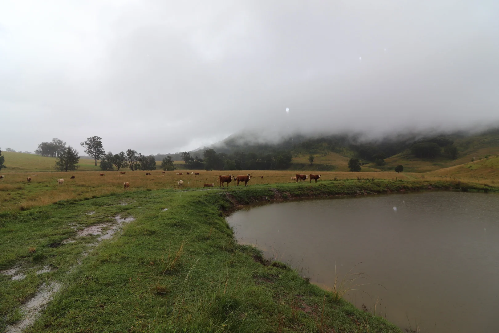 Additional image 26 of 95 Smiths Creek Road, Lower Creek NSW 2440