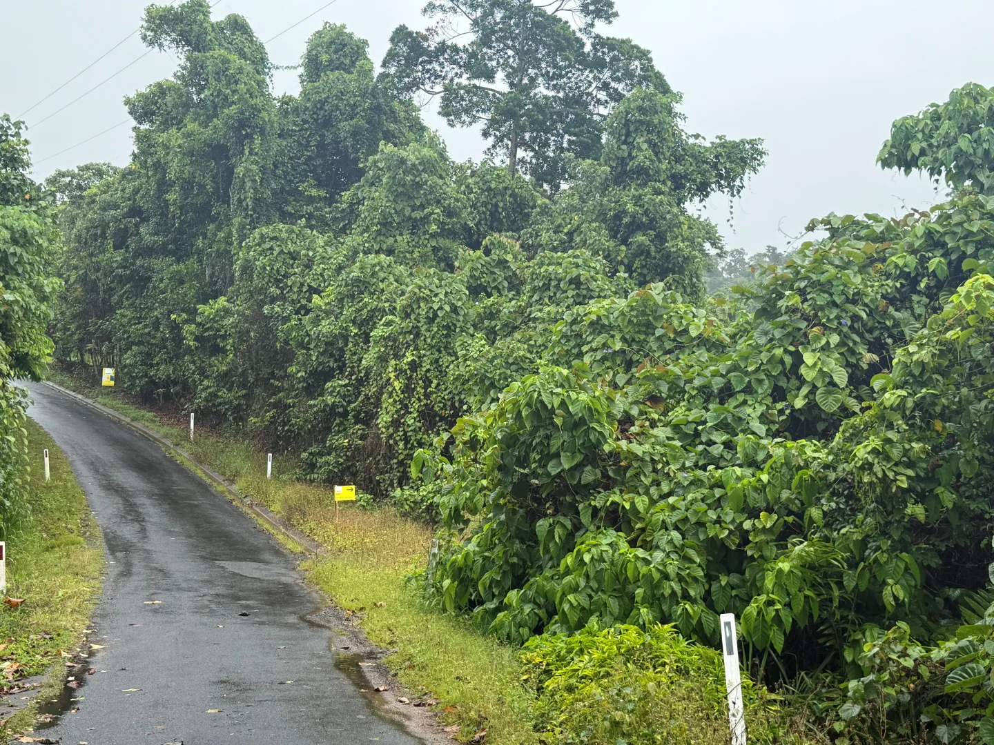 Additional image 2 of Lot 1 Holt Road, Garners Beach QLD 4852