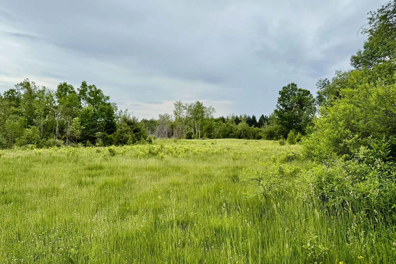 Additional image 7 of 00 Cooper Road