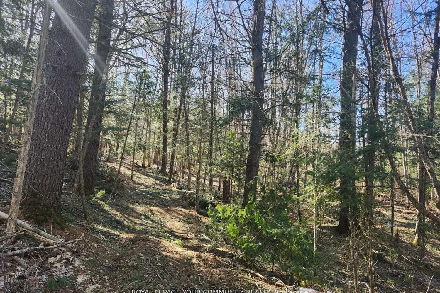 Additional image 10 of 1282 Highway 118 Road