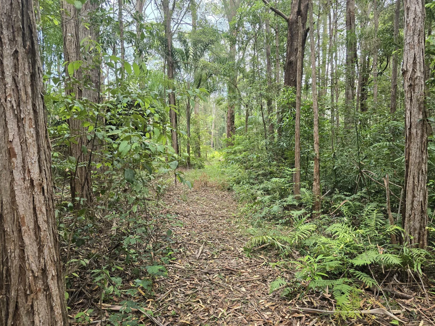 Additional image 28 of 145-159 Archville Station Rd, Bonville NSW 2450