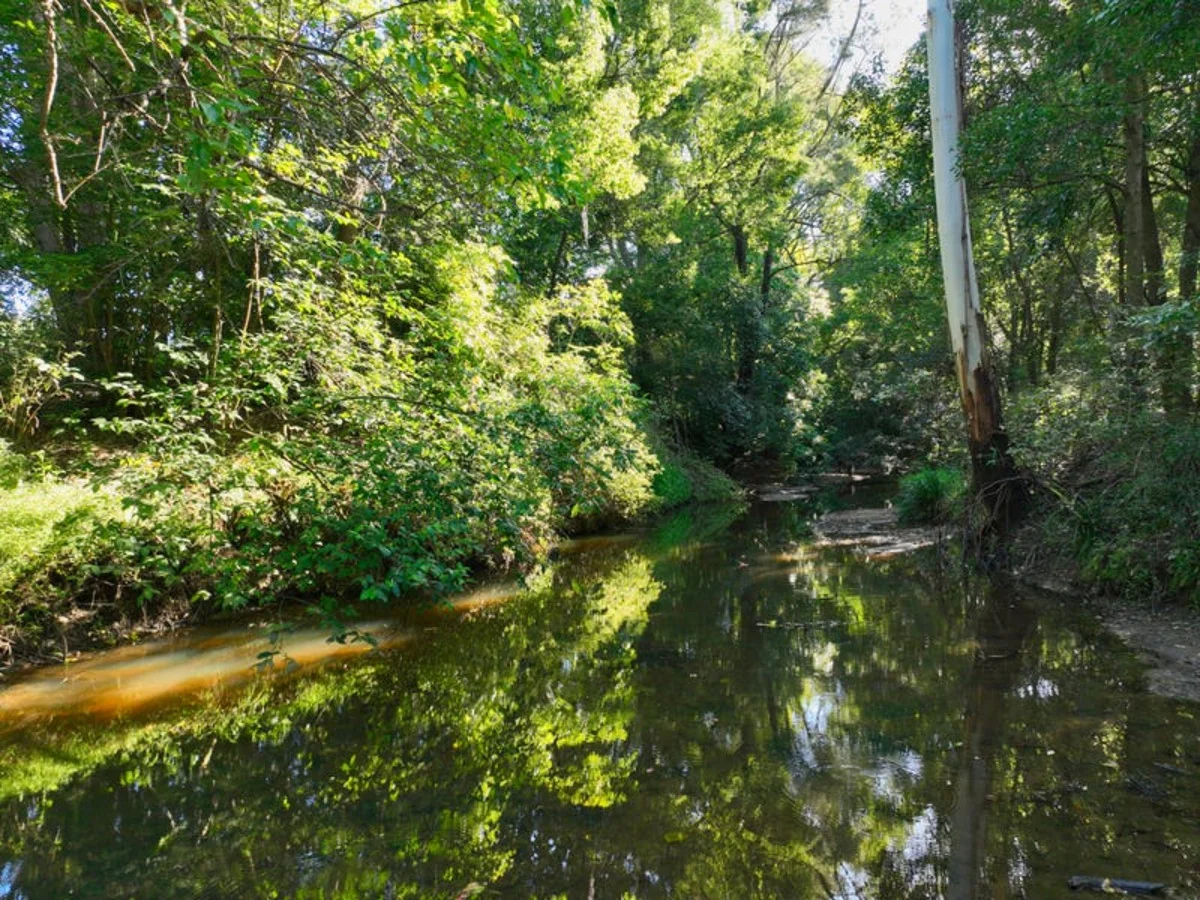 Additional image 12 of 2374 Upper Mongogarie Road, Upper Mongogarie NSW 2470
