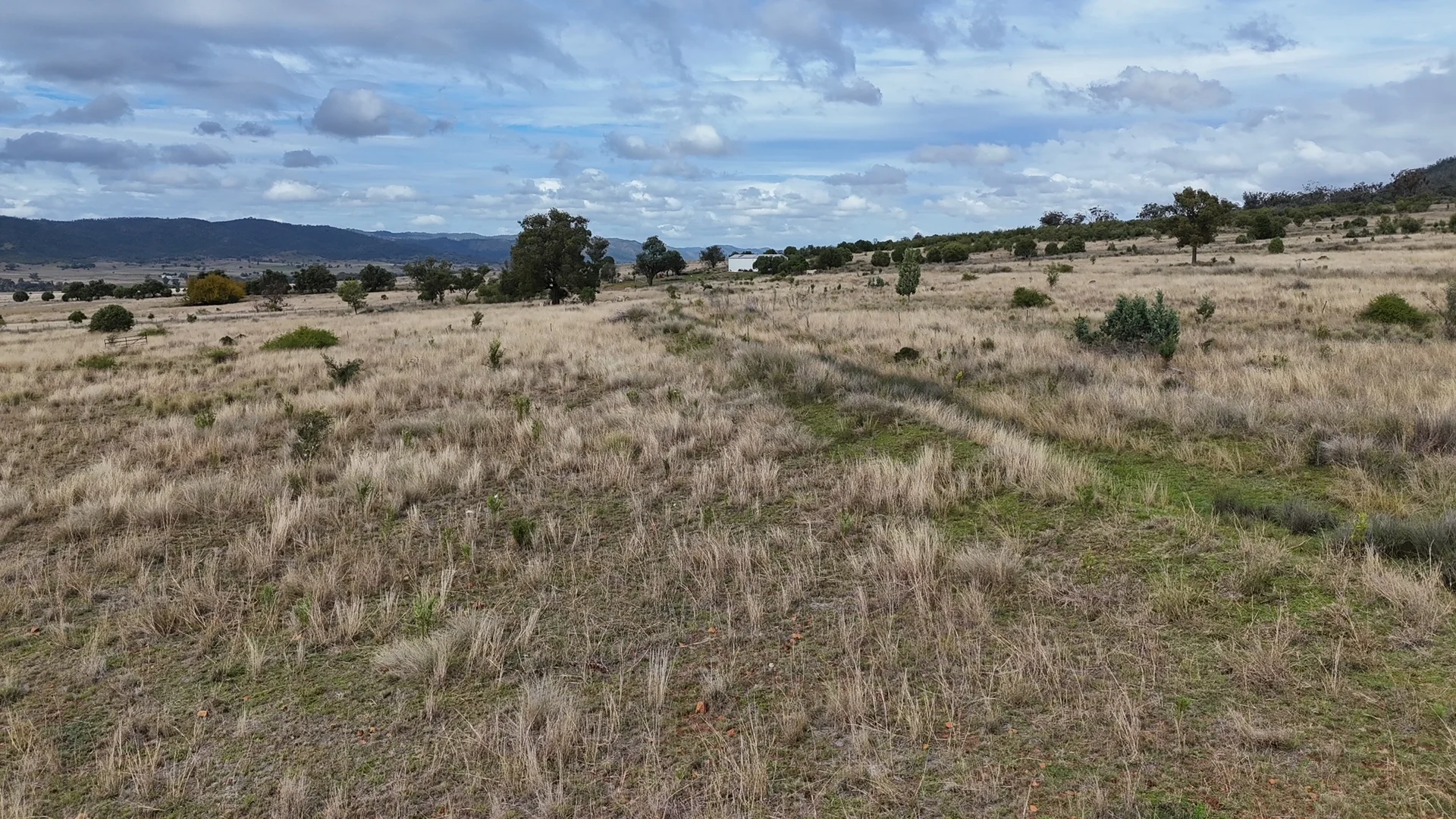 Additional image 16 of The Wilgas Cobbadah Road, Bingara NSW 2404