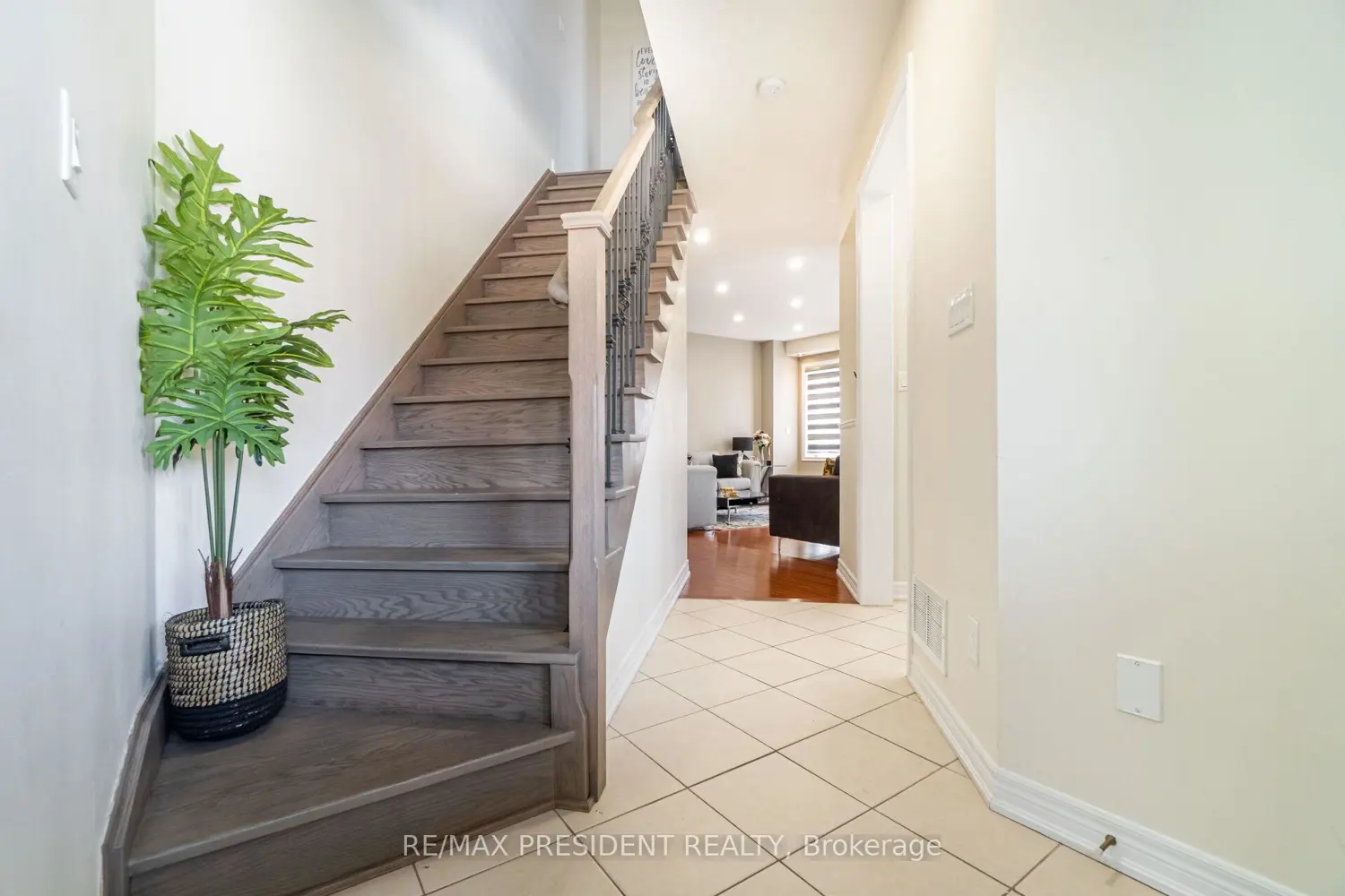 Additional image 11 of 56 Iceland Poppy Trail