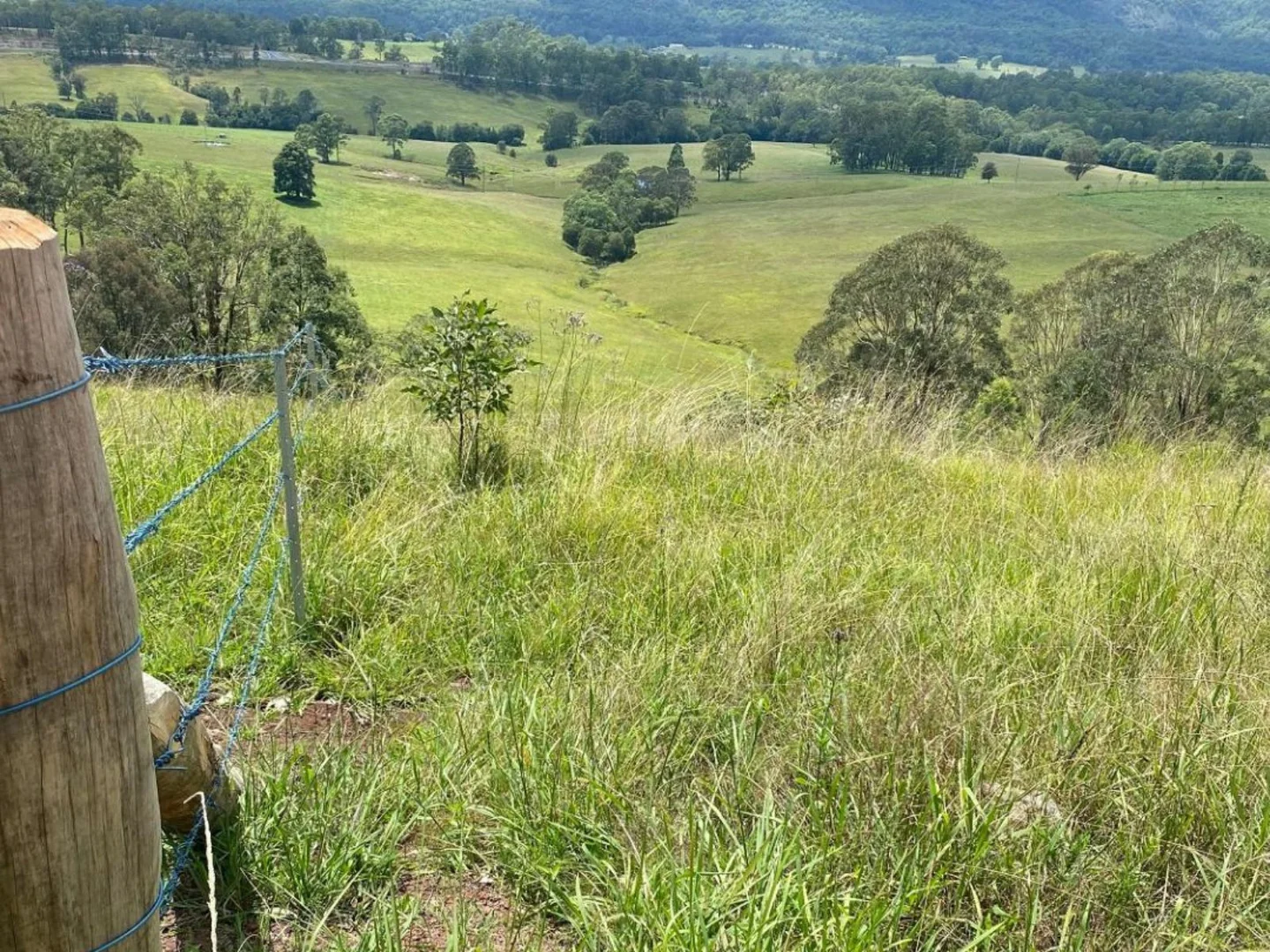 Additional image 6 of 2033 The Bucketts Way, Weismantels NSW 2415