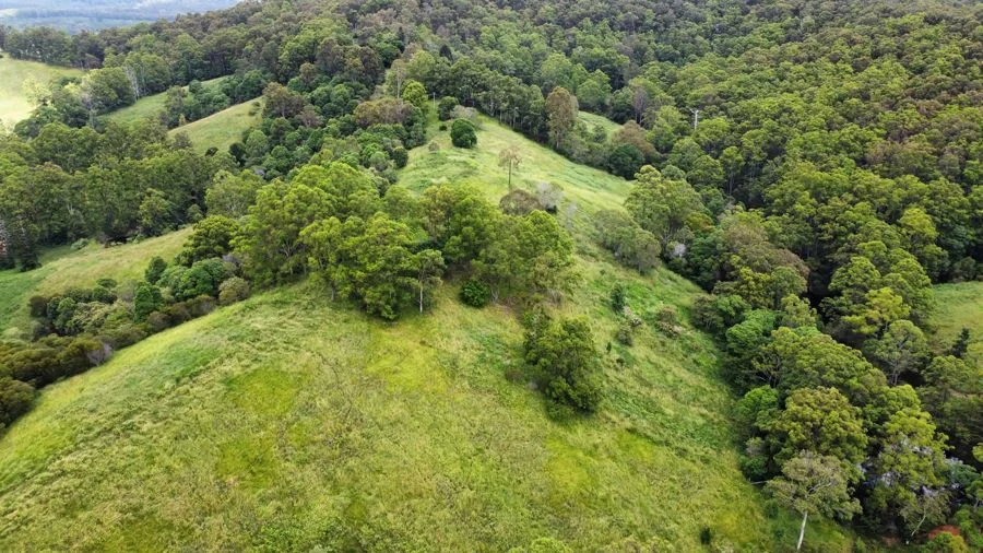 Additional image 4 of 113 Antimony Road, Neerdie QLD 4570