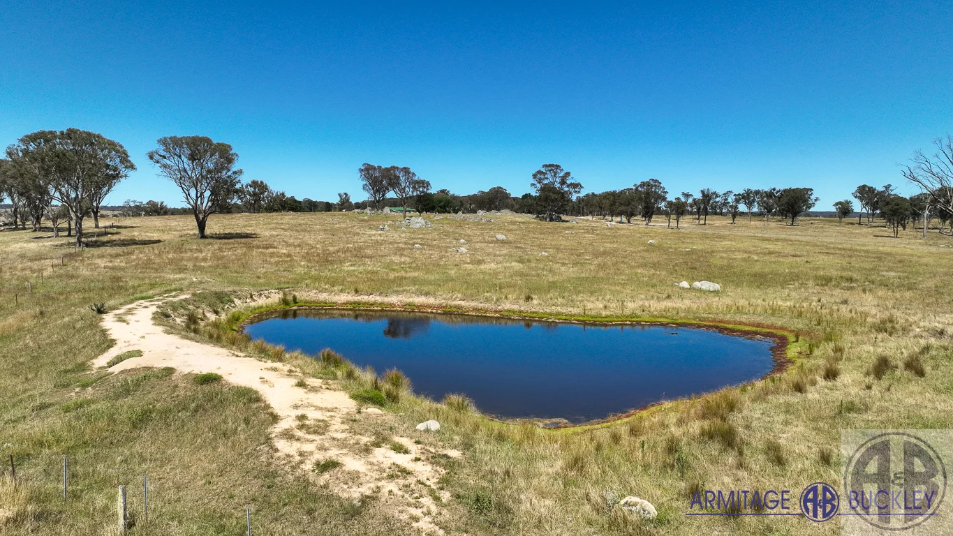 Castle Doyle NSW 2350 photo 4