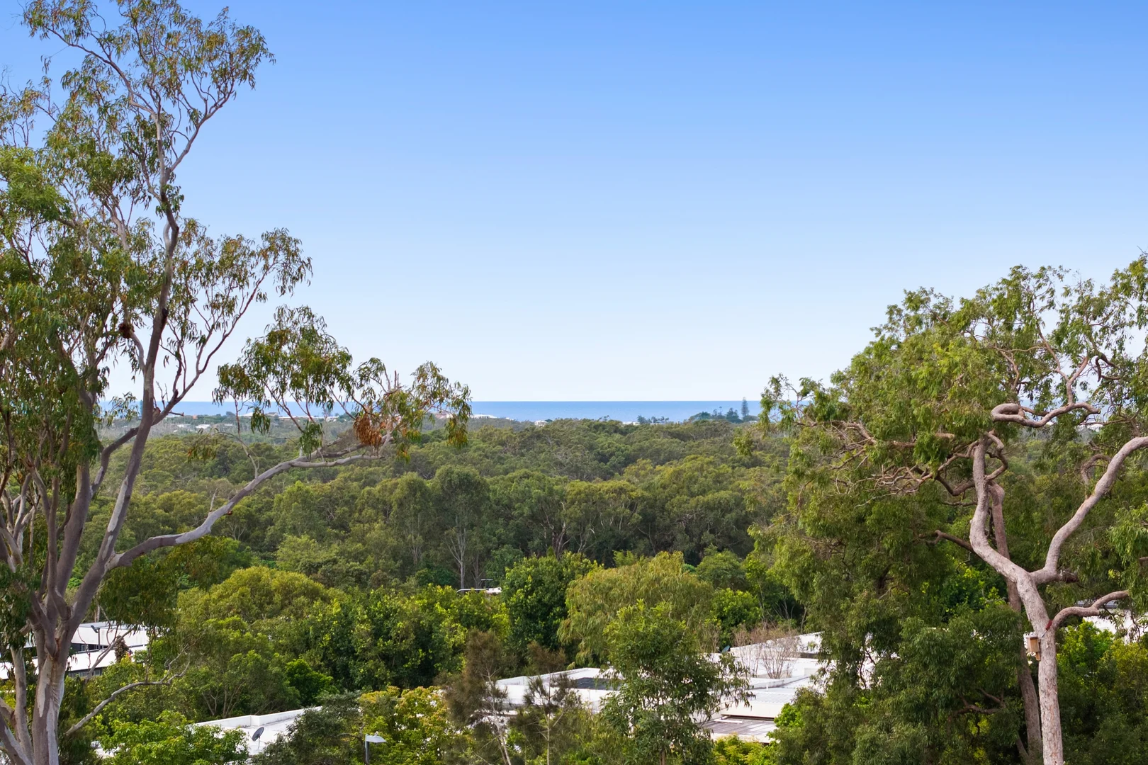 Additional image 8 of 1 Lacewood Place, Peregian Springs QLD 4573