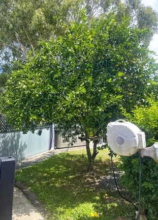 Additional image 15 of 28 Tom Thumb Court, Cooloola Cove QLD 4580