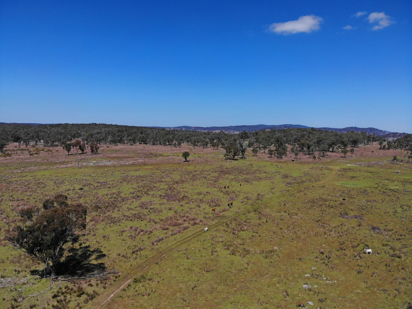 Additional image 4 of 404 New Valley Road, Inverell NSW 2360