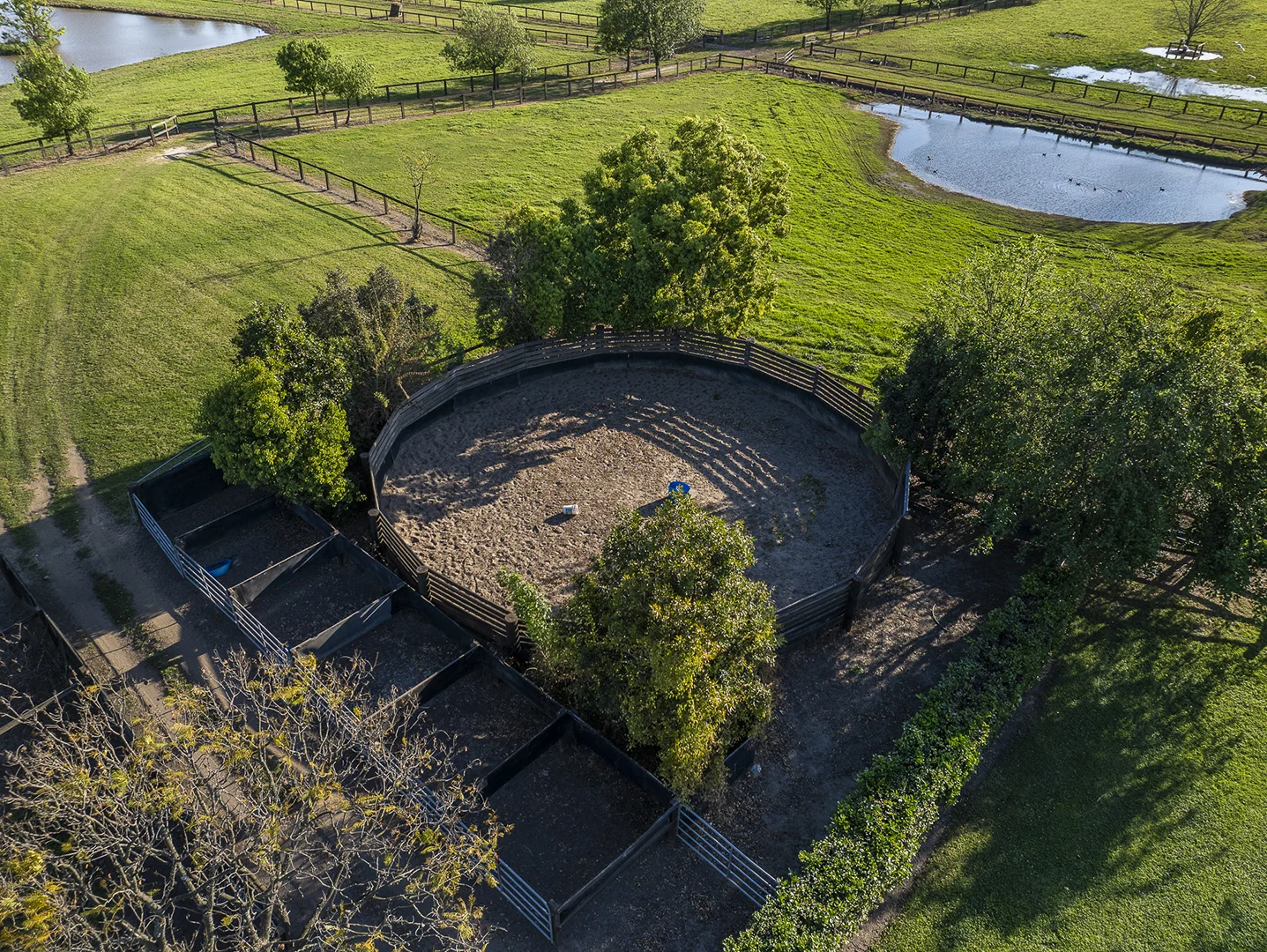 Additional image 10 of 134 Bathurst Street, Pitt Town NSW 2756