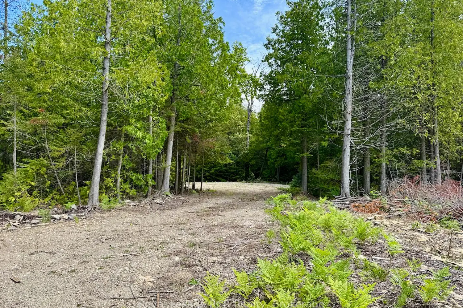 Additional image 11 of 104 Little Pine Drive
