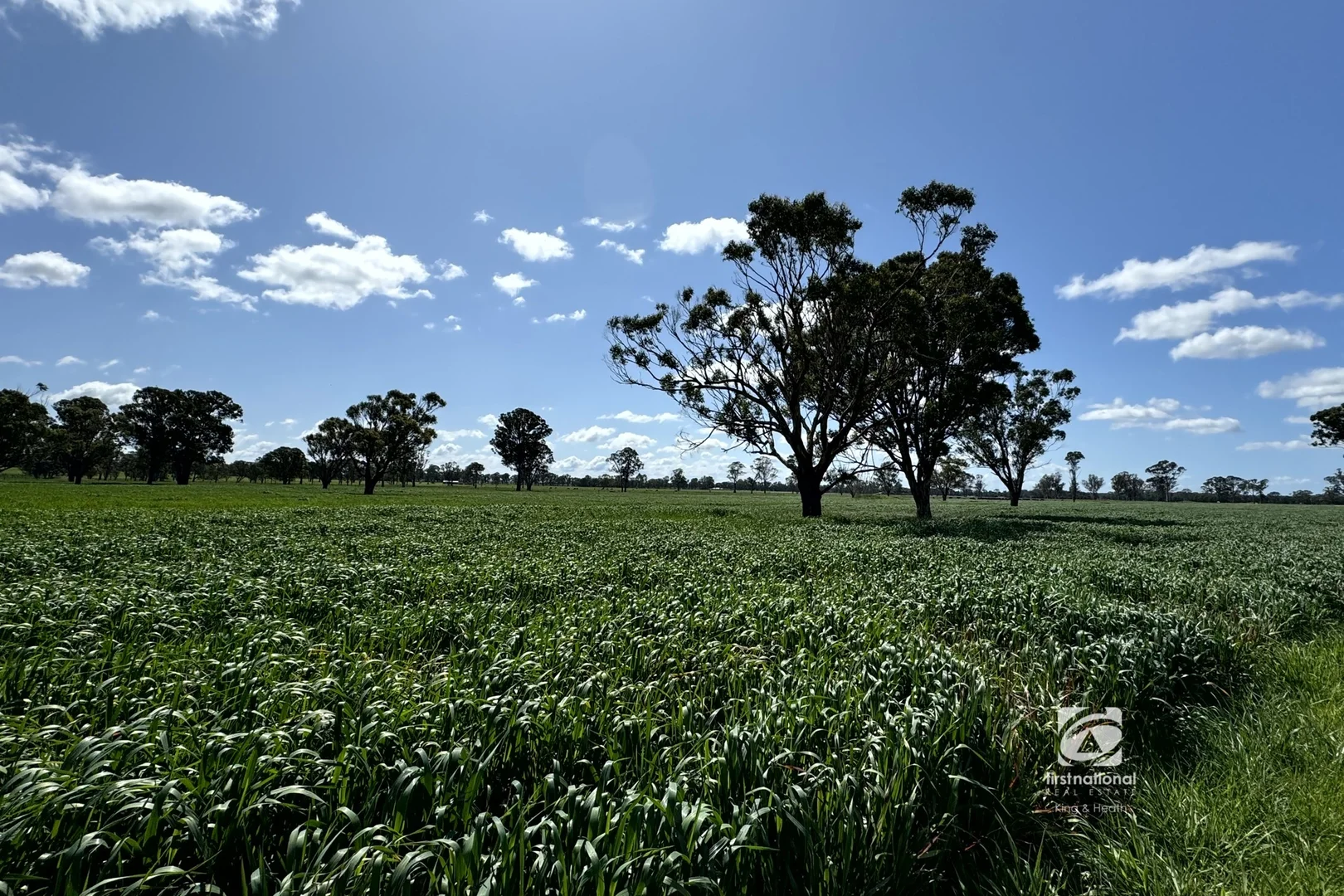 Additional image 6 of 930 Bengworden Road, Goon Nure VIC 3875