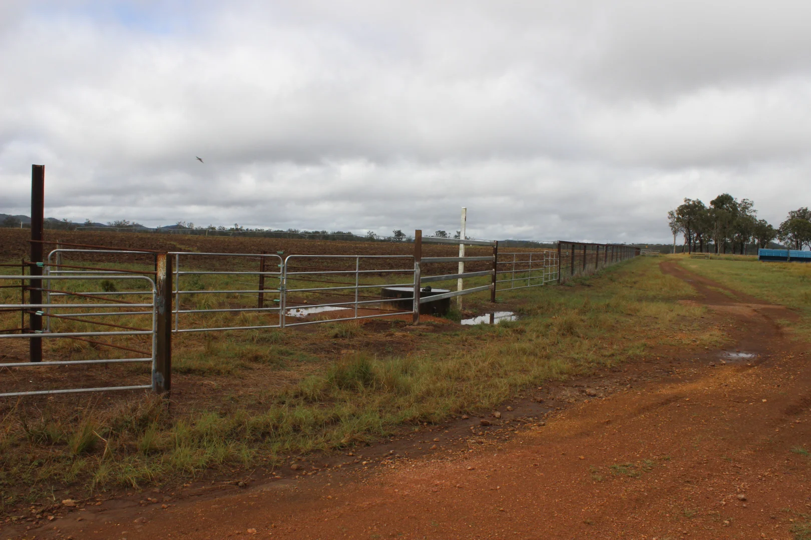 Additional image 30 of Innot Hot Springs QLD 4872