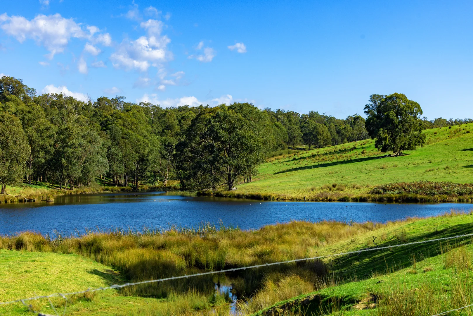 Additional image 45 of 151 Wattle Hill Road, Buchan South VIC 3885