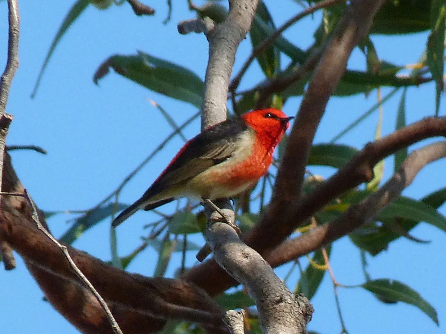 Additional image 18 of Notch Point Road, Ilbilbie QLD 4738