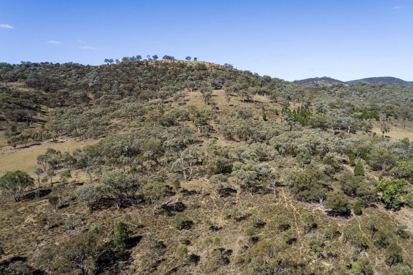 Additional image 10 of 1625 Hill End Road, Mudgee NSW 2850